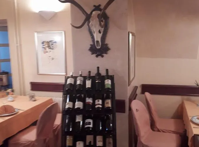 Mance Hotel Brod na Kupi